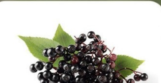 خمان - Elderberry
